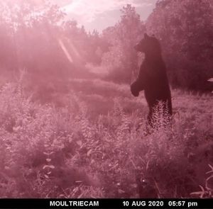 Meet your Posher, Robbie